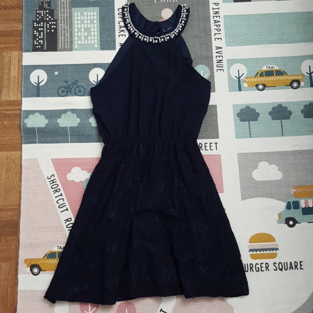 DONATED Francescas Navy Blue Lace Dress
